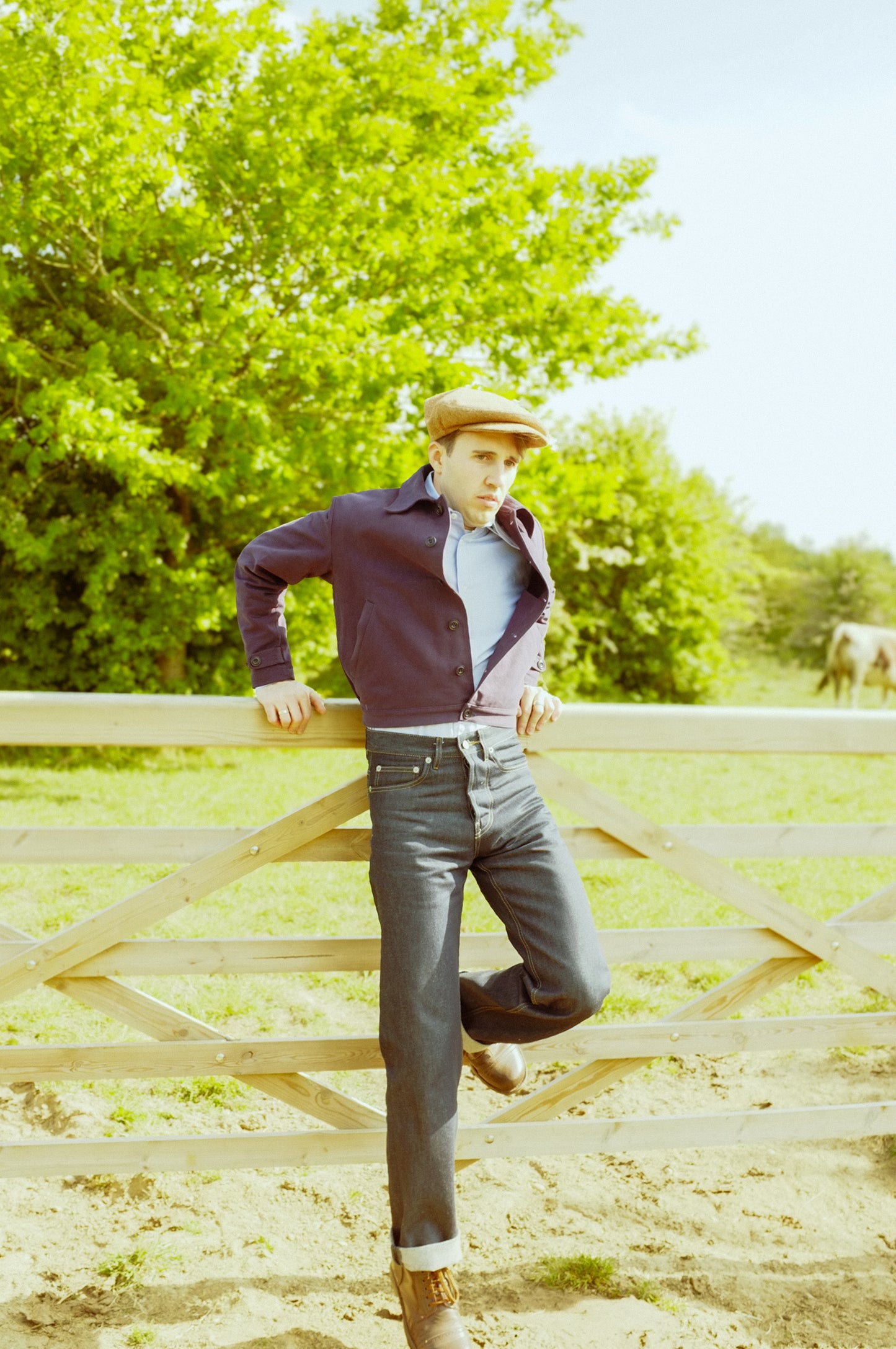The Stark Jeans