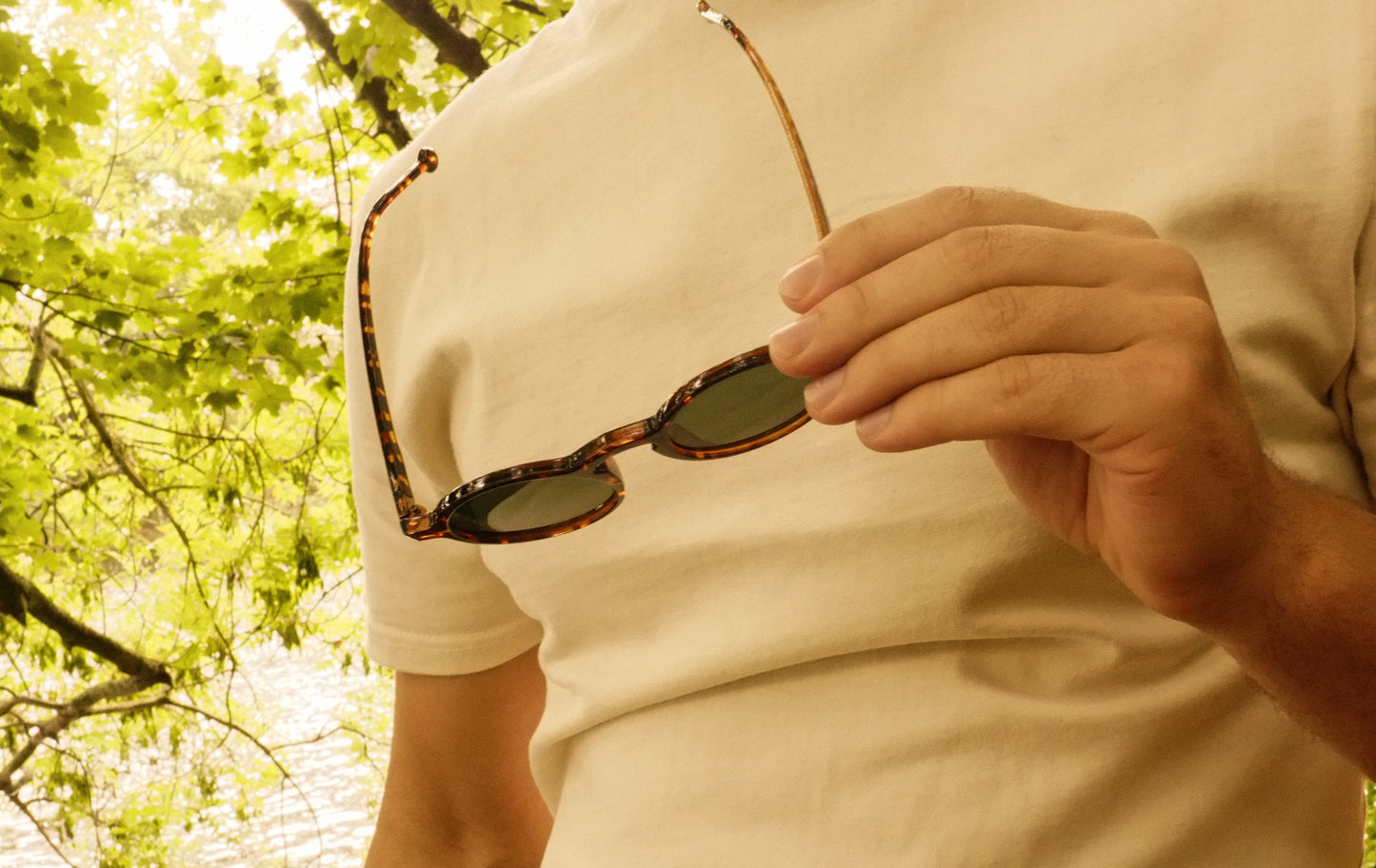 The Reims Frames (Tortoiseshell)