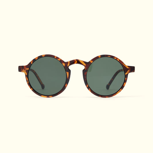 The Reims Frames (Tortoiseshell)